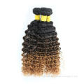 Ombre Brazilian Hair Bundles Deep Wave With Closure, Sew In Human Hair Weave Ombre Hair Weaves Curly